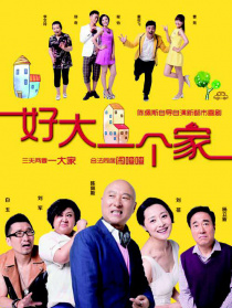 好大一个家