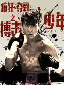 疯狂夺爱之搏击少年