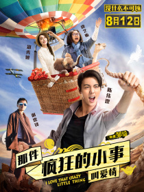 那件疯狂的小事叫爱情