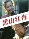 黑山紅杏