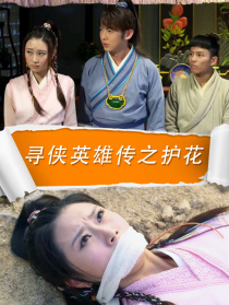 尋俠英雄傳之護花
