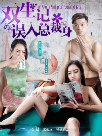 双生记之误入总裁身
