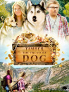 寻宝奇犬