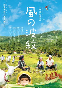 風(fēng)的波紋