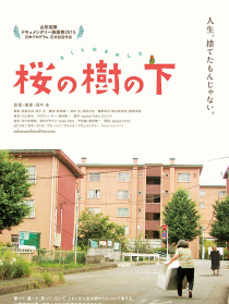 櫻花樹下