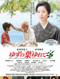 柚子的葉子搖動