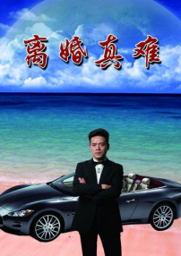 离婚真难