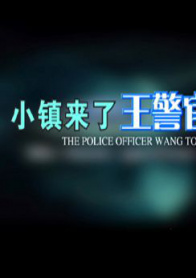 小镇来了王警官