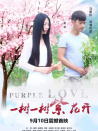 一树一树紫花开