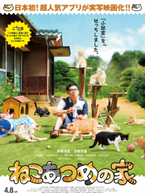 猫咪后院之家