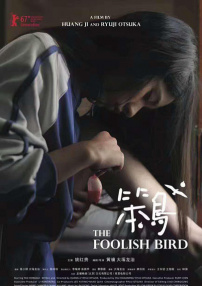 笨鳥(niǎo)