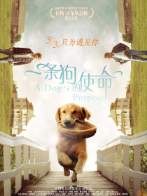 一条狗的使命