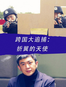 跨國大追捕：折翼的天使