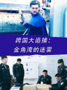 跨国大追捕：金角湾的迷雾