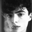 Sean Fox