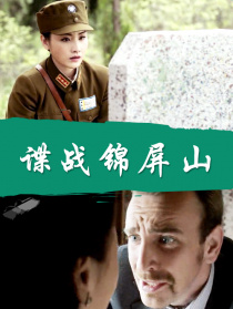 谍战锦屏山