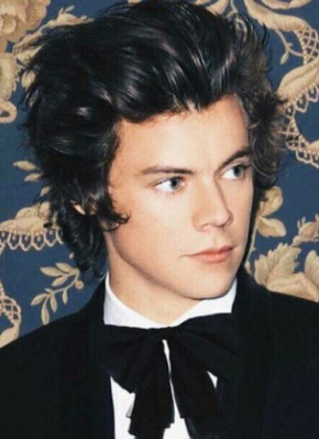 哈里·斯泰尔斯