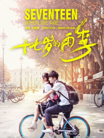 十七歲的雨季