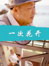 一次花开