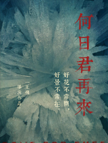 何日君再来