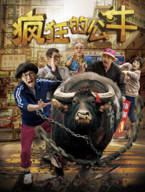疯狂的公牛