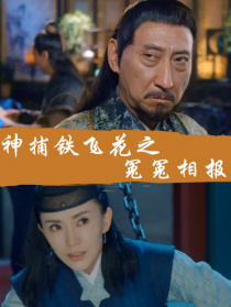 神捕铁飞花之冤冤相报