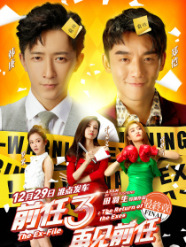前任3：再见前任