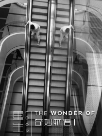 奇妙物语之重生电梯