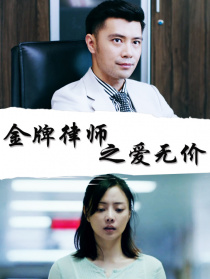 金牌律師之愛無價