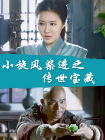 小旋风柴进之传世宝藏