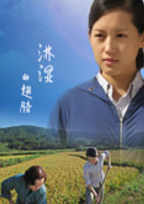 淋濕的翅膀