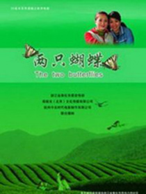 两只蝴蝶
