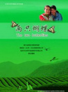 兩只蝴蝶