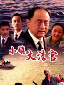 小镇大法官