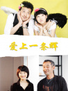 愛上一條輝