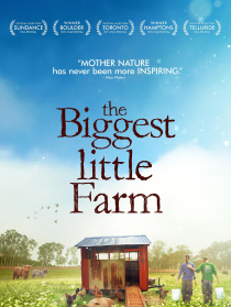 最大的小小农场