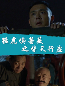 猛虎嗅薔薇之替天行盜