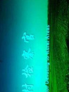 鄉(xiāng)村檢察官