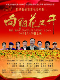 向阳花又开