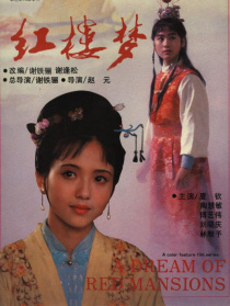 紅樓夢(mèng)5 晴雯夭亡
