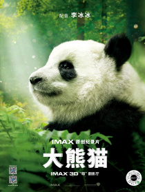 大熊貓