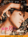 梅艳芳菲