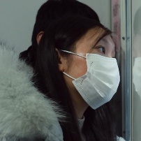 李青儿