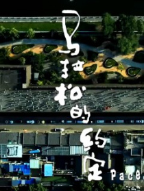 馬拉松的約定