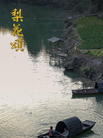 梨花鎮(zhèn)