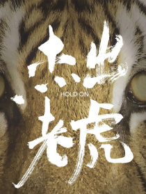 杰出老虎