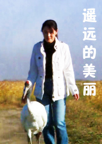 遙遠(yuǎn)的美麗
