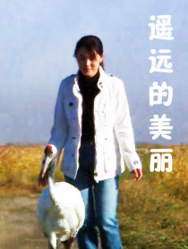 遙遠(yuǎn)的美麗