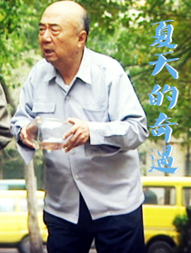 夏天的奇遇