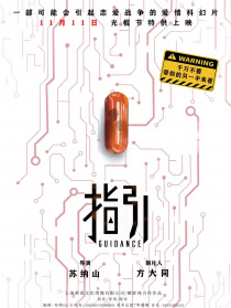 指引